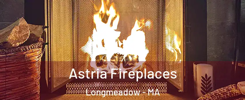  Astria Fireplaces Longmeadow - MA
