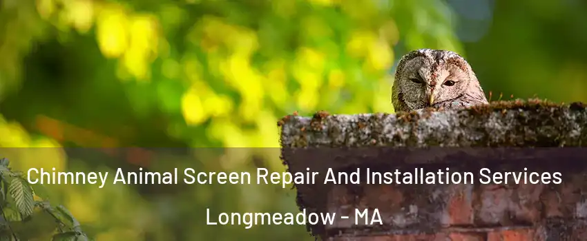  Chimney Animal Screen Repair And Installation Services Longmeadow - MA