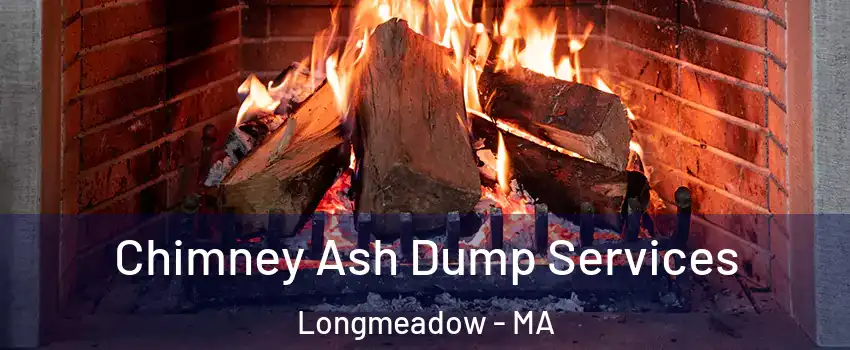  Chimney Ash Dump Services Longmeadow - MA