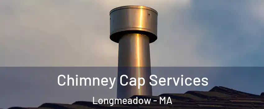  Chimney Cap Services Longmeadow - MA