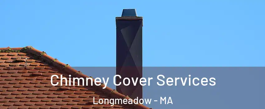  Chimney Cover Services Longmeadow - MA