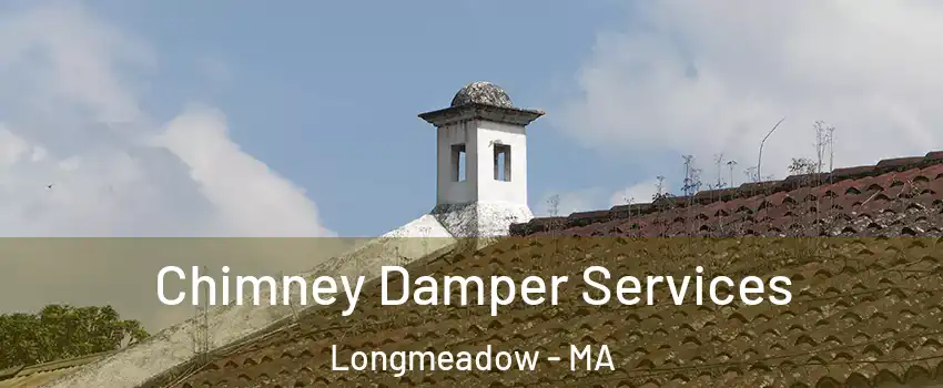  Chimney Damper Services Longmeadow - MA