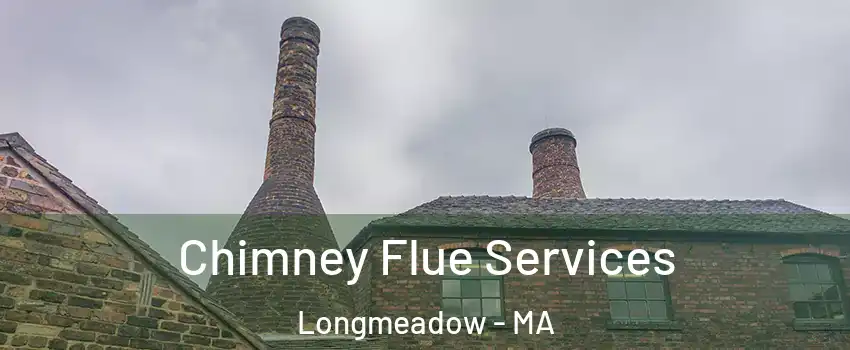  Chimney Flue Services Longmeadow - MA