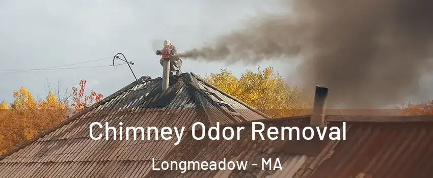  Chimney Odor Removal Longmeadow - MA