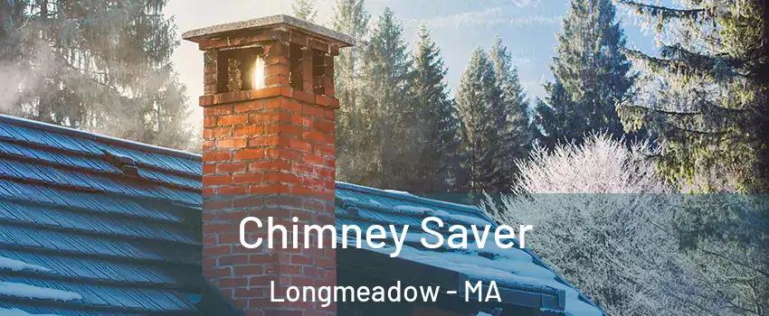  Chimney Saver Longmeadow - MA