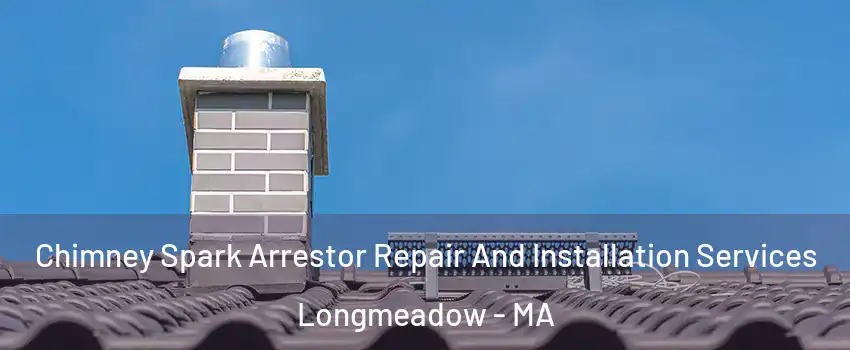  Chimney Spark Arrestor Repair And Installation Services Longmeadow - MA