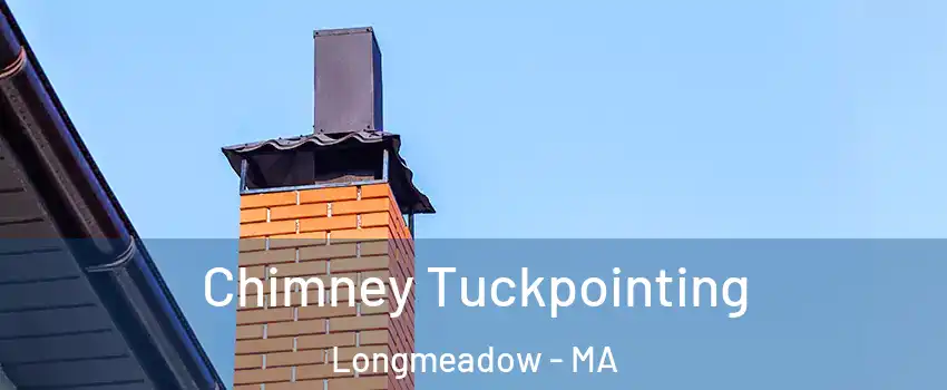  Chimney Tuckpointing Longmeadow - MA