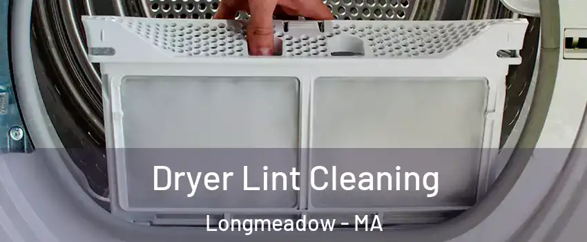  Dryer Lint Cleaning Longmeadow - MA