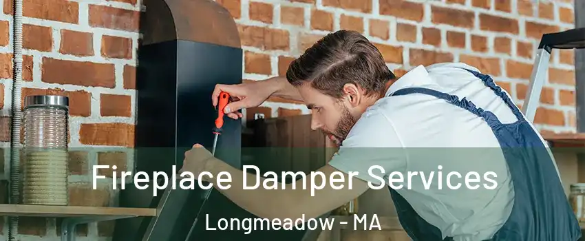  Fireplace Damper Services Longmeadow - MA