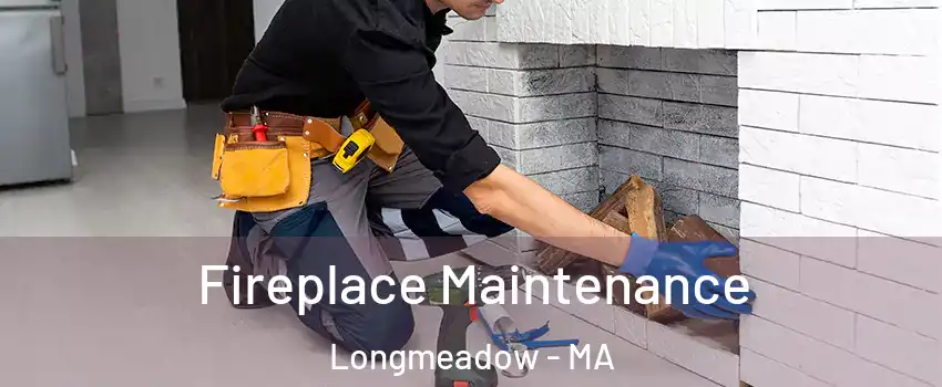  Fireplace Maintenance Longmeadow - MA