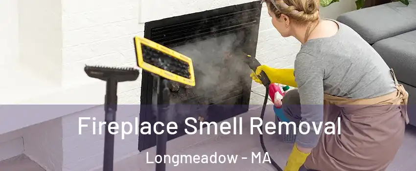  Fireplace Smell Removal Longmeadow - MA