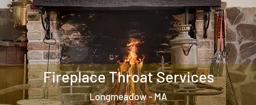 Fireplace Throat Services Longmeadow - MA