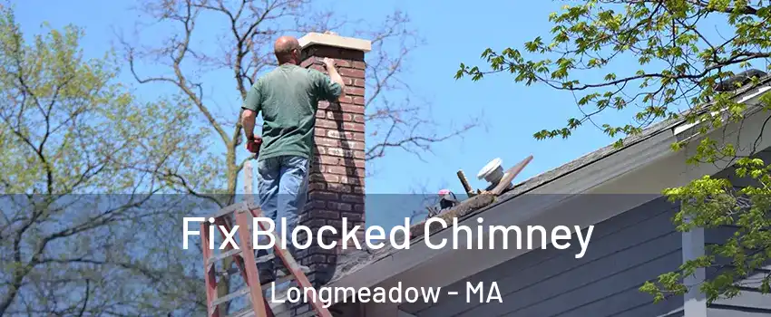  Fix Blocked Chimney Longmeadow - MA