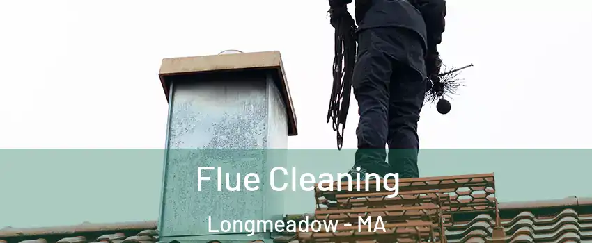 Flue Cleaning Longmeadow - MA
