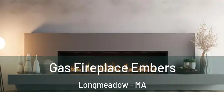  Gas Fireplace Embers Longmeadow - MA
