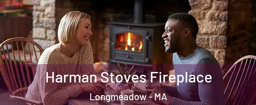  Harman Stoves Fireplace Longmeadow - MA