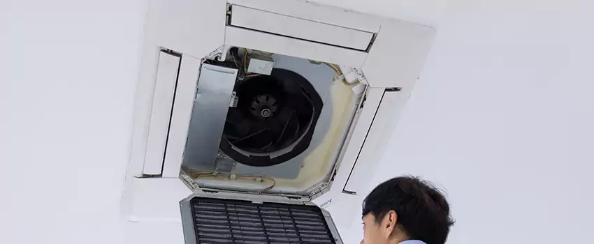 Benefits of Professional Air Duct Cleaning in Longmeadow, Massachusetts