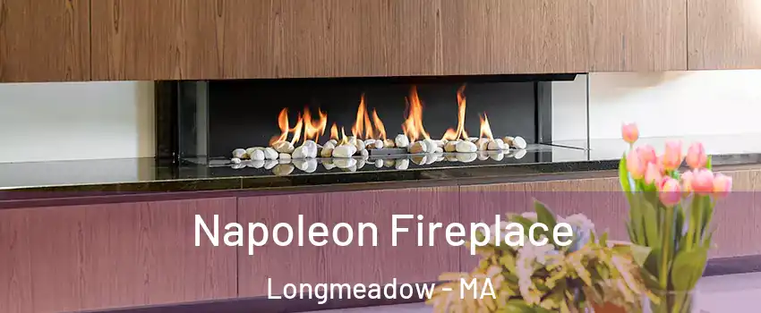  Napoleon Fireplace Longmeadow - MA