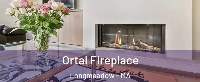  Ortal Fireplace Longmeadow - MA