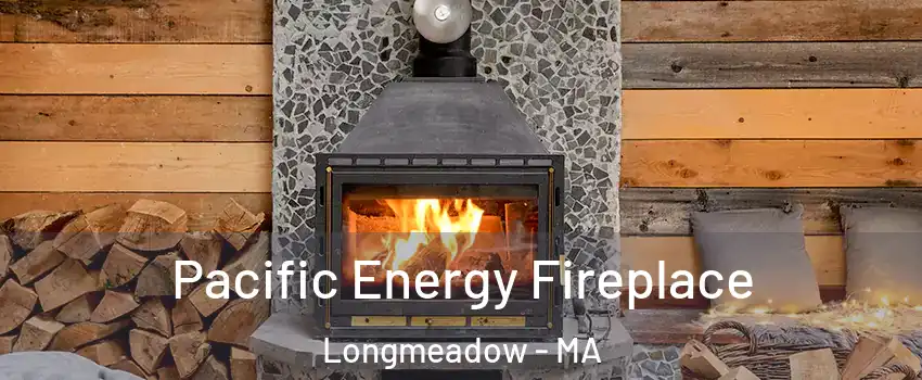  Pacific Energy Fireplace Longmeadow - MA